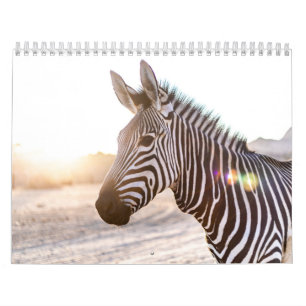 Zebra Kalender