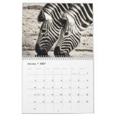 Zebra Kalender (Jan 2027)