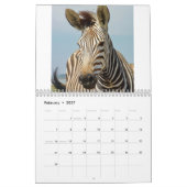 Zebra Kalender (Feb 2027)