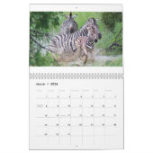 Zebra Kalender (Mär 2026)
