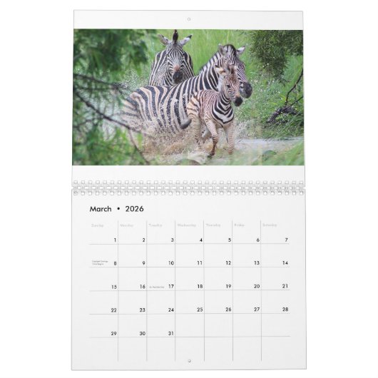 Zebra Kalender (Mär 2026)