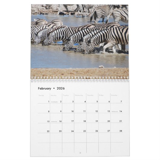 Zebra Kalender (Feb 2026)