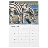 Zebra Kalender (Jan 2026)
