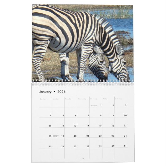 Zebra Kalender (Jan 2026)