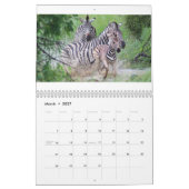 Zebra Kalender (Mär 2027)