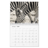Zebra Kalender (Jan 2027)