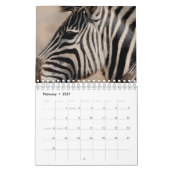 Zebra Kalender (Feb 2027)