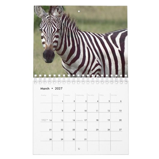 Zebra Kalender (Mär 2027)