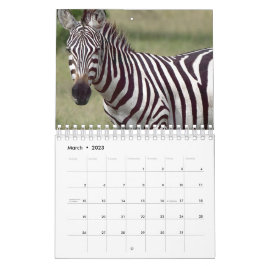 Zebra Kalender