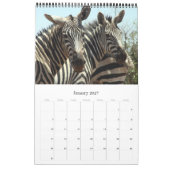 Zebra Kalender (Jan 2027)
