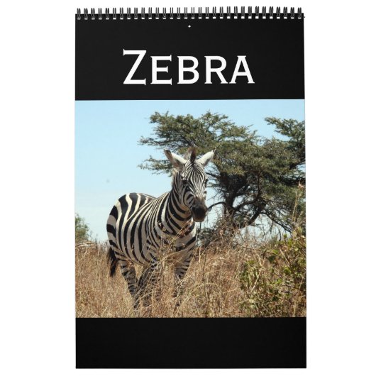 Zebra Kalender (Titelbild)