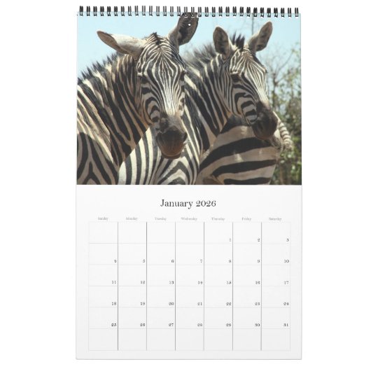 Zebra Kalender (Jan 2026)