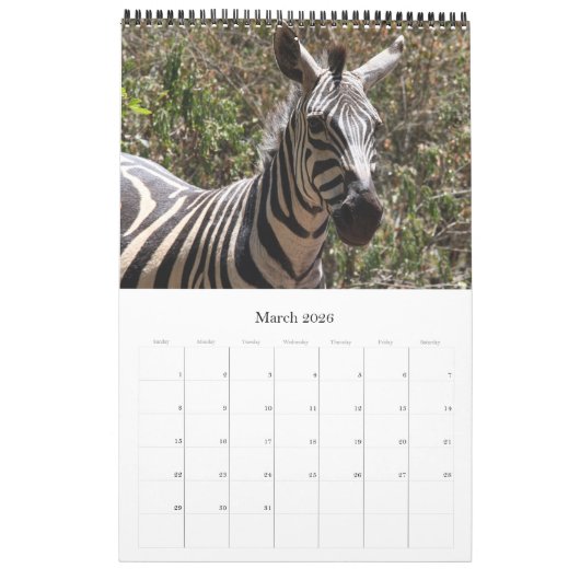 Zebra Kalender (Mär 2026)