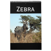 Zebra Kalender (Titelbild)