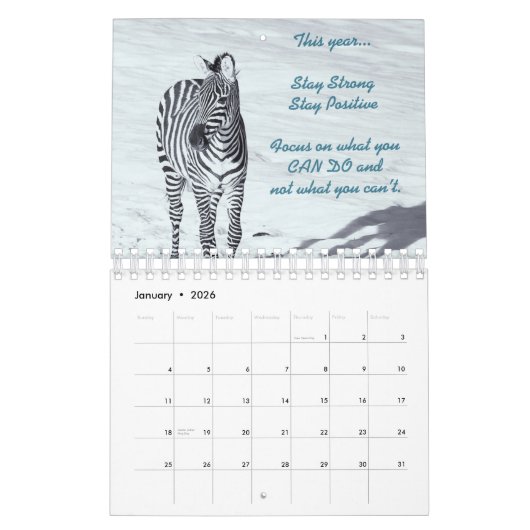 Zebra-Kalender 2019 Kalender (Jan 2026)