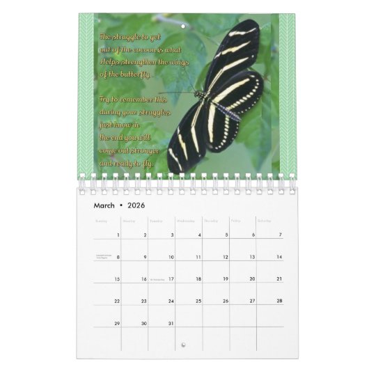 Zebra-Kalender 2019 Kalender (Mär 2026)