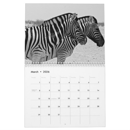 Zebra-Kalender 2025 Kalender (Mär 2026)