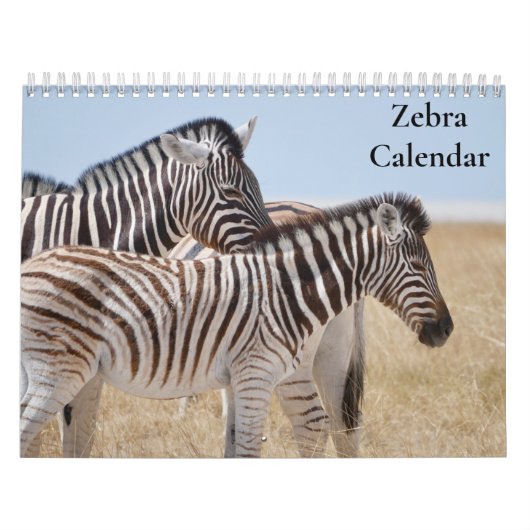 Zebra-Kalender 2025 Kalender (Titelbild)