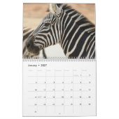 Zebra-Kalender 2025 Kalender (Jan 2027)