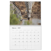 Zebra-Kalender 2025 Kalender (Feb 2027)