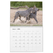 Zebra-Kalender, Zebras Kalender (Mär 2026)