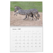 Zebra-Kalender, Zebras Kalender (Jan 2027)