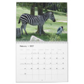 Zebra-Kalender, Zebras Kalender (Feb 2027)