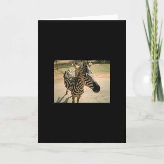Zebra Karte (Vorderseite)
