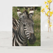 Zebra Karte (Gelbe Blume)