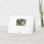 Zebra Karte (Rückseite)