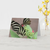 Zebra Karte (Gelbe Blume)