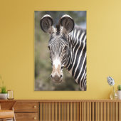 Zebra, Kenia, Afrika Leinwanddruck (Insitu (Wohnzimmer))