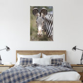Zebra, Kenia, Afrika Leinwanddruck (Insitu (Schlafzimmer))