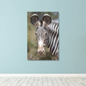 Zebra, Kenia, Afrika Leinwanddruck (Insitu (Holzboden))