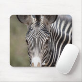 Zebra, Kenia, Afrika Mousepad (Mit Mouse)