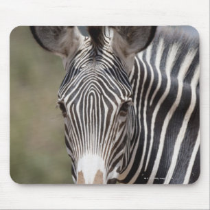 Zebra, Kenia, Afrika Mousepad