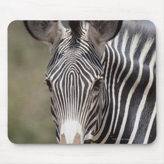 Zebra, Kenia, Afrika Mousepad (Vorne)