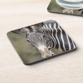 Zebra, Kenia, Afrika Untersetzer (Linke Seite)