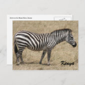 Zebra kenya postkarte (Vorne/Hinten)