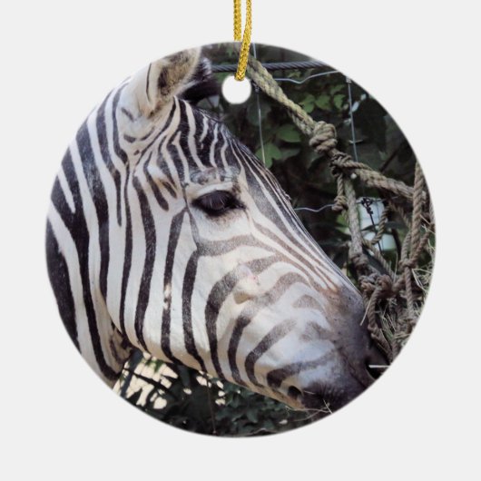Zebra Keramik Ornament (Vorne)