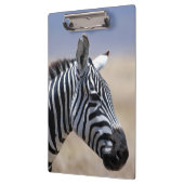 Zebra Klemmbrett (Links)