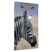 Zebra Klemmbrett (Rechts)