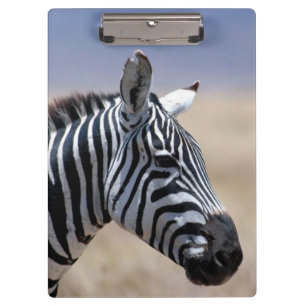 Zebra Klemmbrett