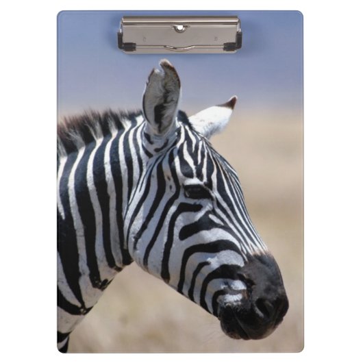 Zebra Klemmbrett (Vorderseite)
