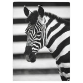 Zebra Klemmbrett (Rückseite)