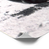 Zebra-Kopf - schwarz-weiß Poster (Ecke)