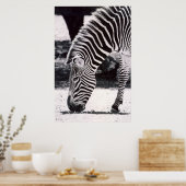 Zebra-Kopf - schwarz-weiß Poster (Küche)