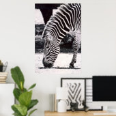 Zebra-Kopf - schwarz-weiß Poster (Heimbüro)