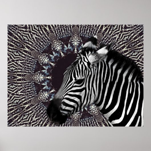 Zebra-Kunst-Plakat Poster (Vorne)