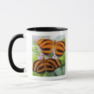 Zebra-langer Flügel-Schmetterling 2 Tasse